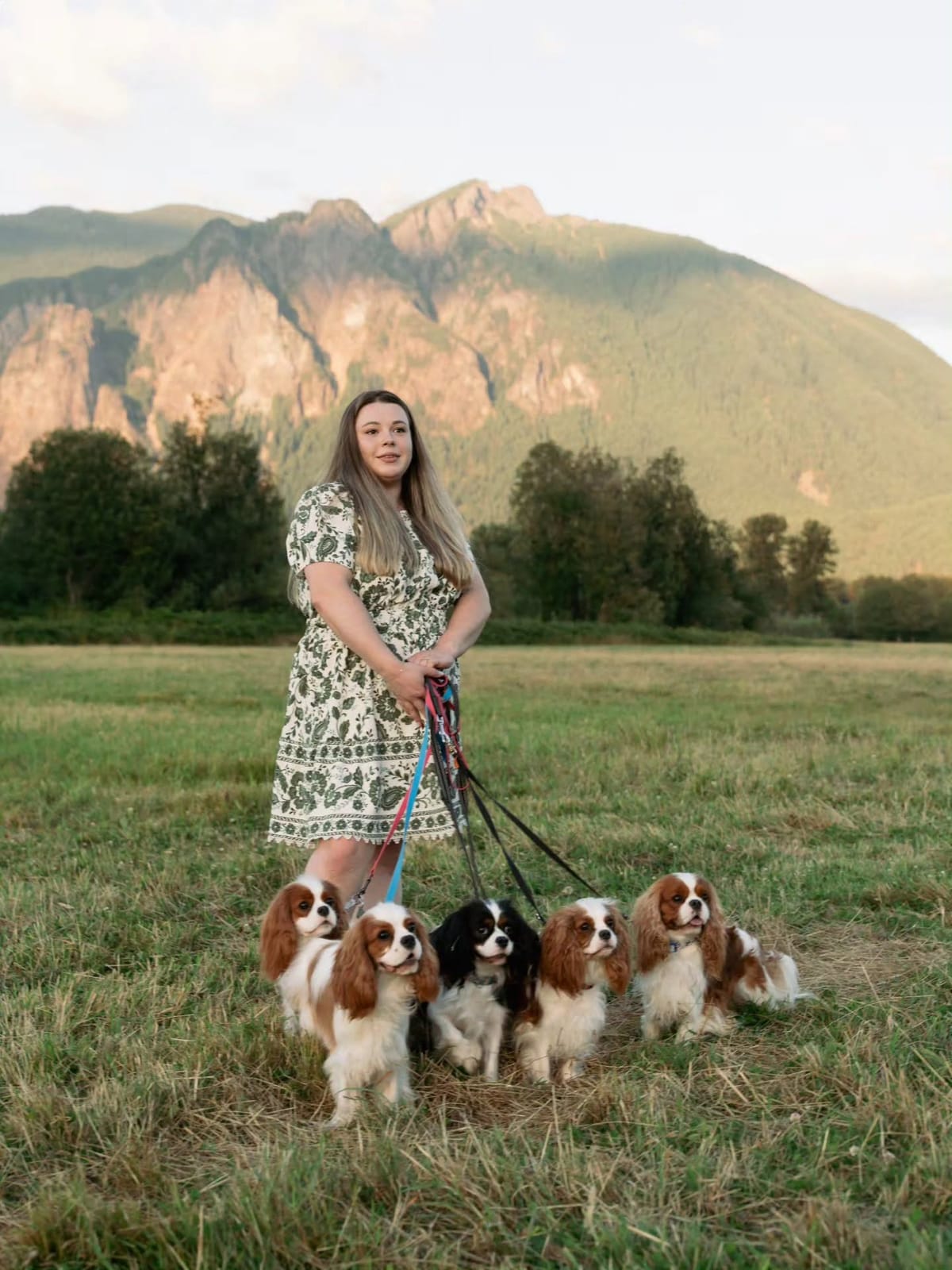 Laura walking four Cavalier King Charles Spaniels across a mountain meadow
