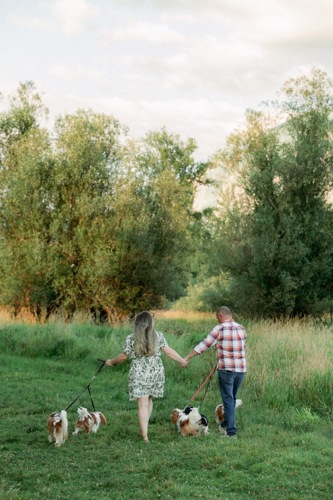 Laura and Eugene walking hand in hand with their Cavaliers